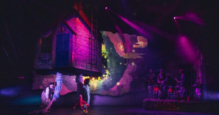 The House With Chicken Legs – Review
